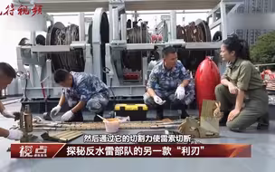 探秘！反水雷部队的利器 扫雷具有何不同？