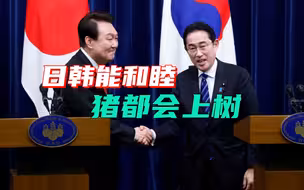 尹锡悦的卑躬屈膝，岸田没放在眼里，日本想要的东西，韩国给不起