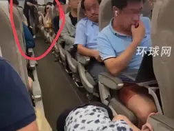 旅客带仓鼠上飞机丢失致航班延误？上海虹桥国际机场：确有人带小动物登机