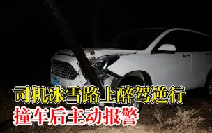 司机冰雪路上醉驾逆行怼上电线杆：为躲对向来车，主动报警认罚