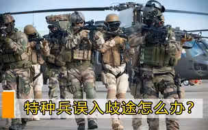 特种兵退役后，若走上犯罪道路该怎么办？中国做法值得各国学习