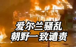 爱尔兰持刀伤人事件引发严重骚乱 朝野一致谴责：不能也不会被容忍！