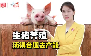 三农锐评丨养一头猪赔200元  生猪养殖须得合理去产能！