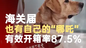 海关届也有自己的哪吒