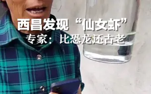 距今2亿年！西昌发现古老物种“仙女虾” 专家：比恐龙还古老