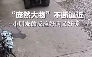 “庞然大物”不断逼近 小朋友的反应好萌又好暖