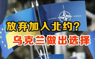 决定放弃加入北约？乌克兰“投降”避免战争，拜登如意算盘要落空