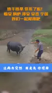 下雨啦！25日浙皖五地协同人工增雨