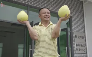 【广东大埔县】蜜柚种植标准化！脱贫、乡村振兴、美好生活都靠它