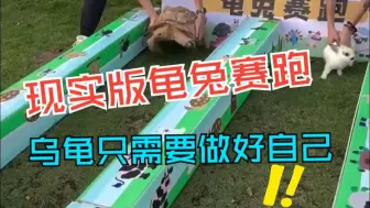 现实版“龟兔赛跑”，网友：古人诚不欺我！