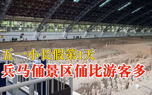 五一假第1天兵马俑景区俑比游客多，游客：导游都很清闲