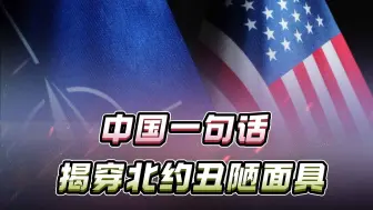 揣测他人暴露自身意图，中国一句话，揭穿北约丑陋面具