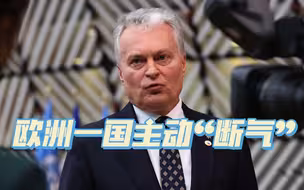 立陶宛主动“断气”，妄图绑架欧盟，哪来的自信