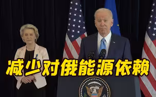 美国将向欧洲额外供应150亿立方米天然气