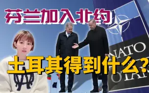 同意芬兰加入北约 土耳其将获得什么？|芬分钟资讯