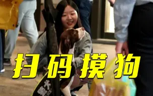 宣 传 反 诈 有 多 拼 ？
