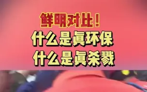 鲜明对比！什么是真环保，什么是真杀戮