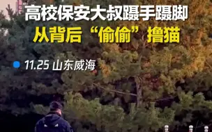高校保安蹑手蹑脚从背后撸猫，学生：假期他还会给猫买罐头吃