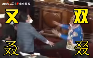 外国议会又打起来了……