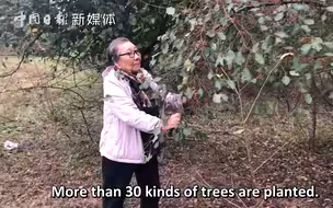 87岁老奶奶自费30余万元种树20年：要给后代留下一片绿色