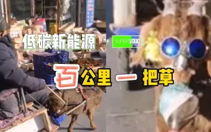大爷坐羊车自行“改装”  避免羊儿自己“导航”