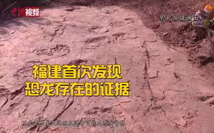 福建首次发现恐龙存在的证据 清理出恐龙足迹240余枚！