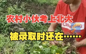 农村小伙考上北京大学，被录取时还在扯豆子 割猪草