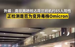 外媒：南非两趟抵达荷兰班机约85人阳性 正检测是否为变异毒株Omicron