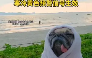 广州多区寒冷黄色预警信号生效