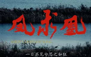 纪录片《大河之洲》：凤求凰