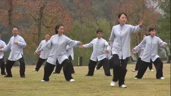 陈氏太极 轻歌曼“武”展魅力
