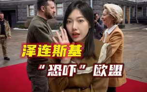 准备鱼死网破？泽连斯基“恐吓”欧盟，别把乌克兰难民逼到墙角