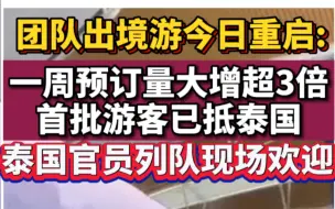 团队出境游今日重启:一周预订量大增超3倍,首批游客已抵泰国，泰国官员列队现场欢迎