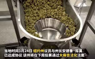 纽约州或将通过大麻合法化法案