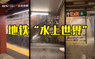 美国纽约暴雨后 地铁内俨然成了“水上世界”