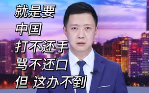 要中国打不还手，骂不还口，但这办不到