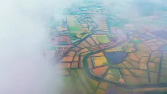 稻田收获在即  带你飞阅五彩斑斓