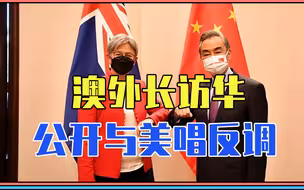 澳外长访华，公开与美唱反调，4看点1个信号！中俄联手反制日本