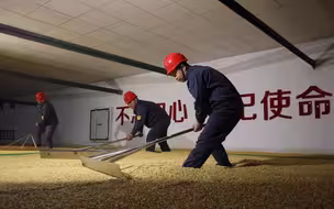 87个足球场的最大单体粮库仓容竟有128万吨？看智能化护航大国粮仓！