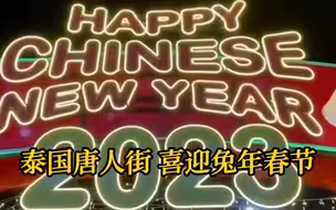 彩灯装点泰国唐人街 喜迎兔年春节