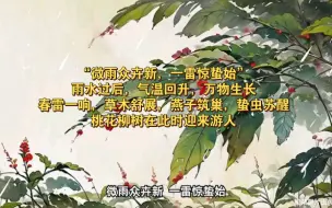 今日惊蛰：微雨众卉新，一雷惊蛰始