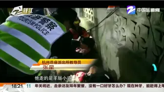 正能量时刻：百人地毯式搜索  终于找到失联的89岁老人