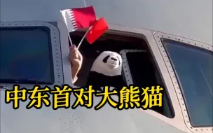 中东首对！两只中国大熊猫抵达卡塔尔首都多哈