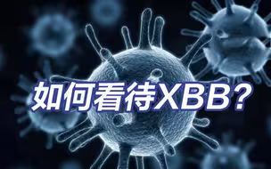 如何看待XBB系列毒株？XBB.1.5会引发第二轮感染吗？