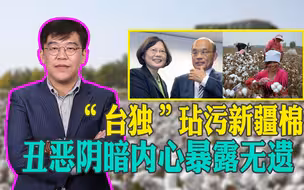 台湾艺人力挺新疆棉传递积极信号 “台独”分子又被气得胡说八道