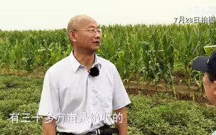 【三农三人谈】暴雨之后话农险—种植业篇