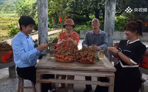 千年“荔枝王”尝起来是什么味道？