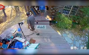 快递员放下包裹一转身看到棕熊朝自己扑来……