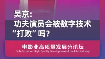 吴京：功夫演员会被数字技术打败吗？