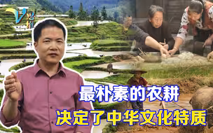 什么决定了中华文化特质与价值观？最朴素的农耕，影响了整个民族